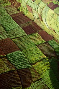 Land acquisitions by multinational corporations are on the increase, but what effects do these lucrative deals have on local populations and global supply chains and should they be more closely monitored? By Emma Holmqvist