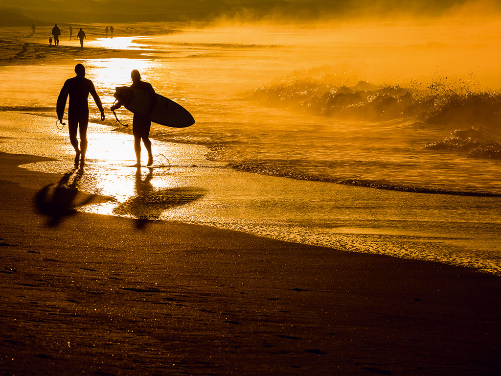 Surfers at sunset in Australia