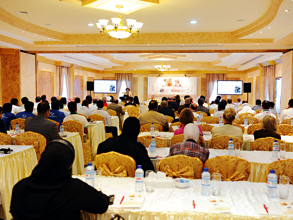 Delegates enjoy the facilities at a WSPA event in Abu Dhabi Falcon Hospital's Shaheen Conference Centre