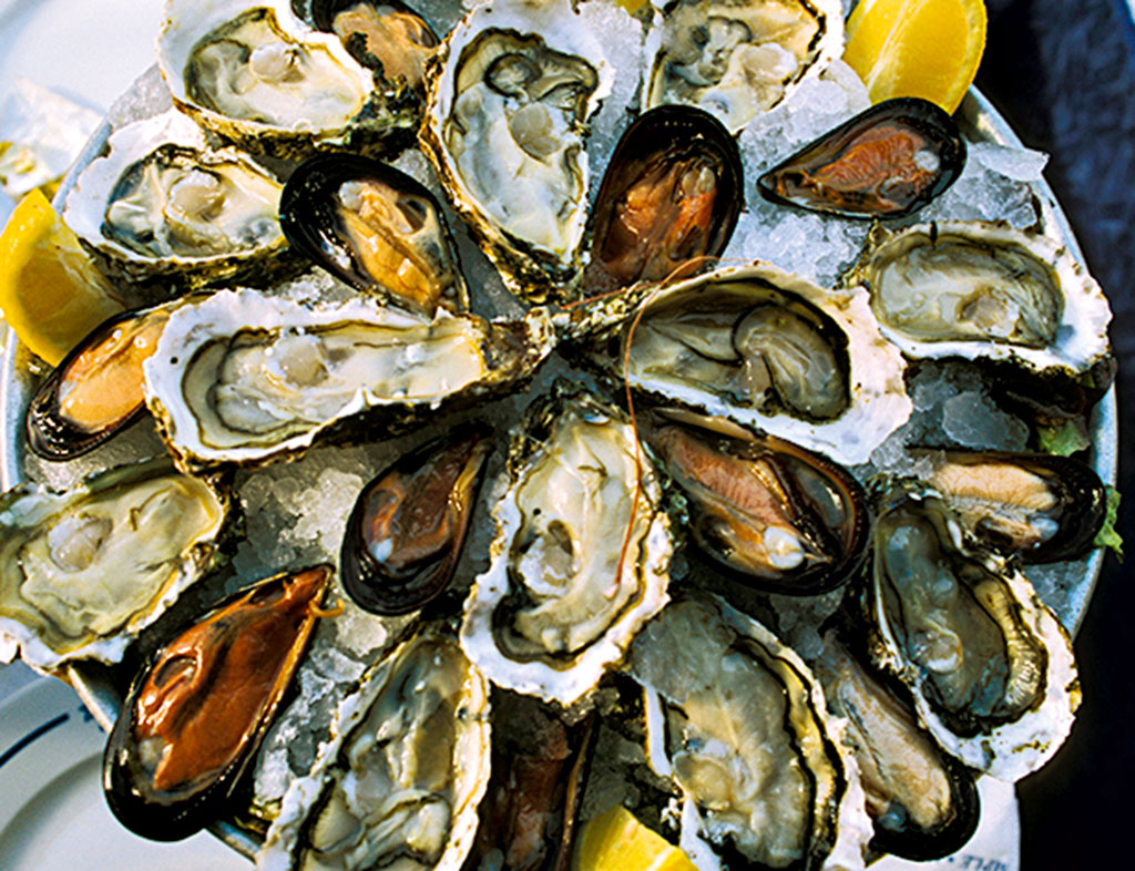 Enjoy fresh oysters in Galway