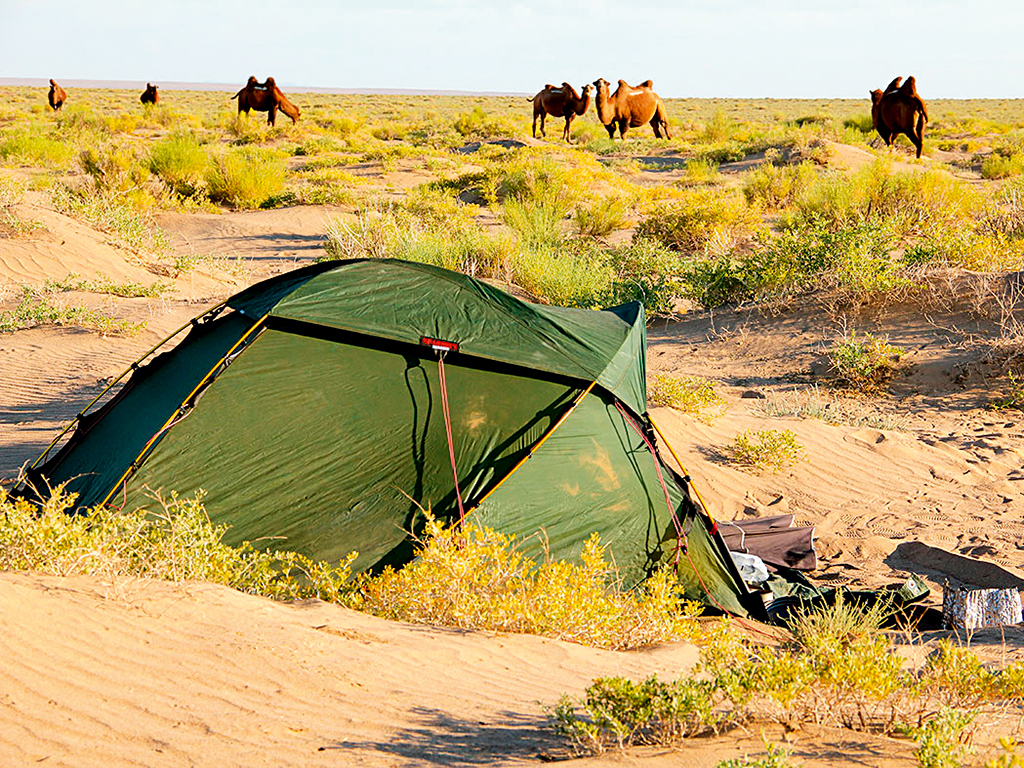 Sarah would frequently wake to the sight of camels in the Gobi Desert