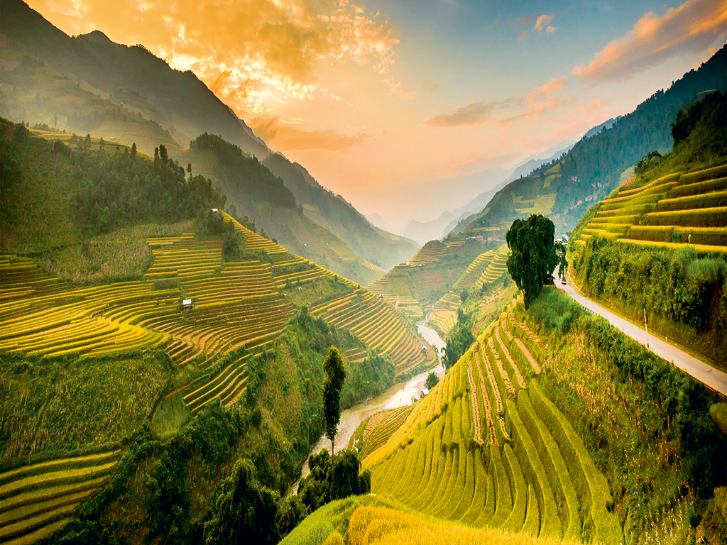 Rice terraces in Mu Cang Chai, north Vietnam