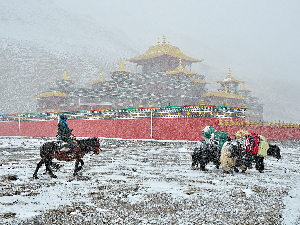 The convoy's 'caravan' makes its way past a monastery during a blizzard, while travelling along the Salt Road in southern Qinghai province 