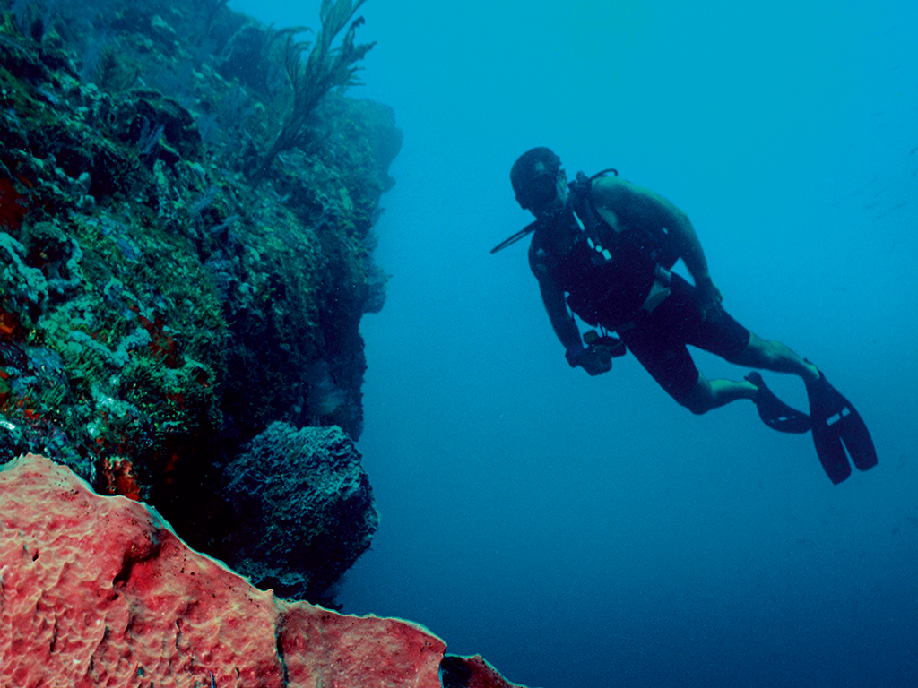The waters surrounding the islands are ideal for diving
