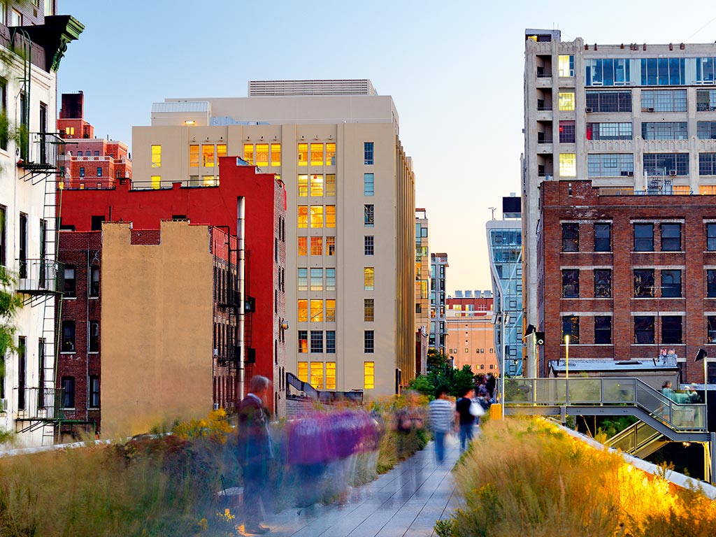 New York's High Line garden is a masterclass in urban regeneration