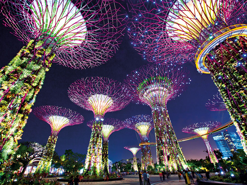 The Supertree Grove at Singapore's Gardens by the Bay. The country has become a favourite with expats