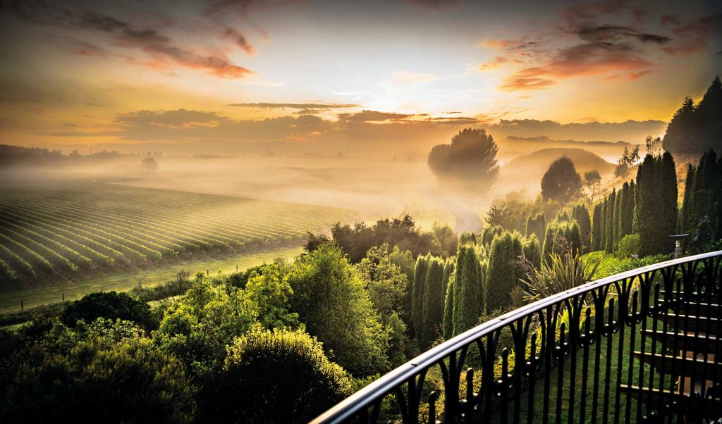 The New World of wine tourism Business Destinations Make travel