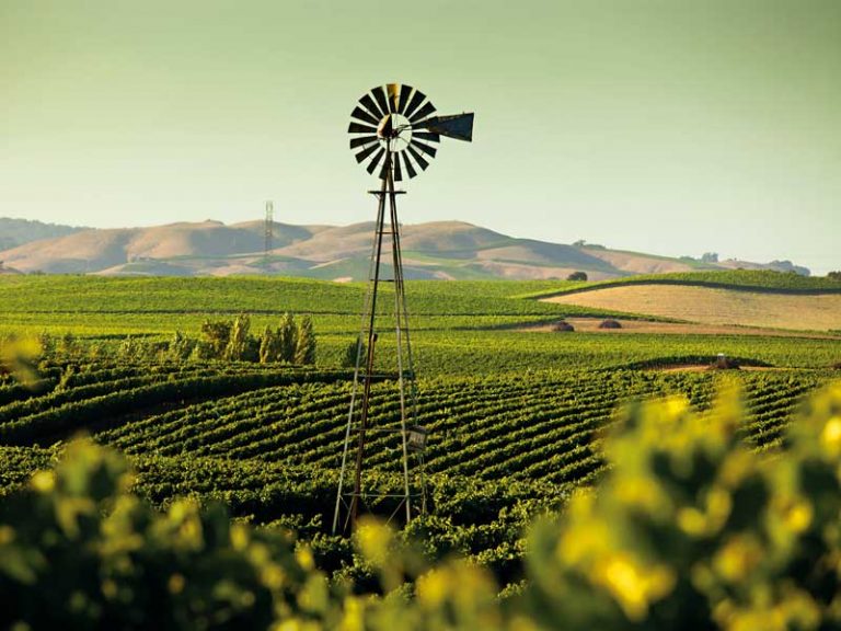 Farmtofork eating takes over California’s food scene Business