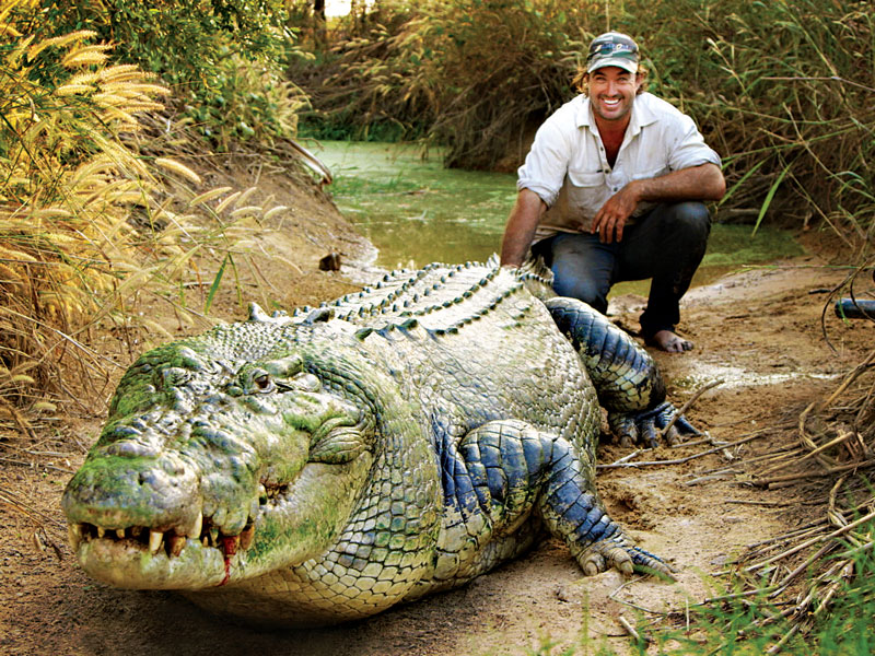 Matt Wright: the monster crocodile catcher – Business Destinations – Make  travel your business